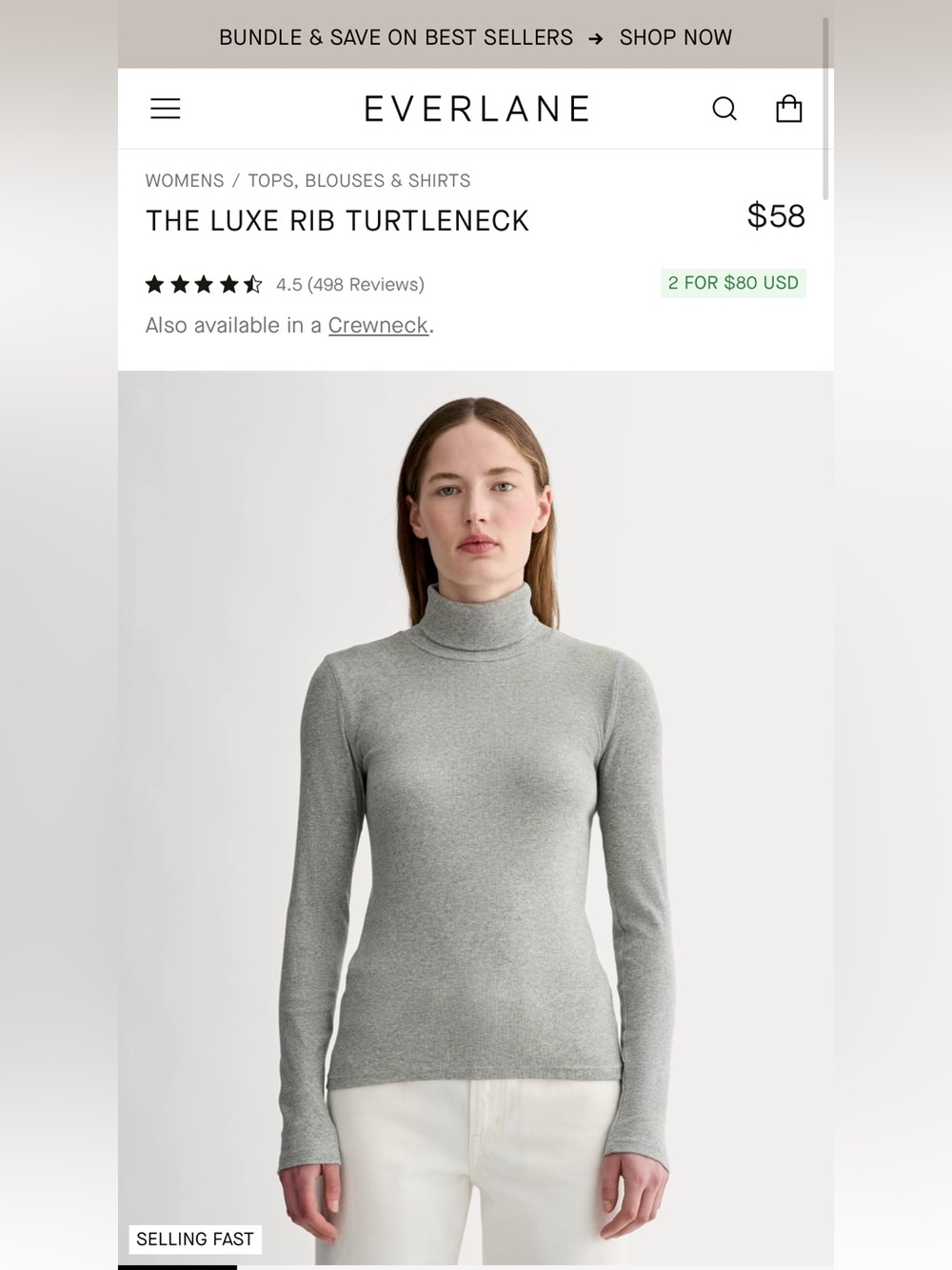 Everlane Luxe Rib Turtleneck - Light Gray